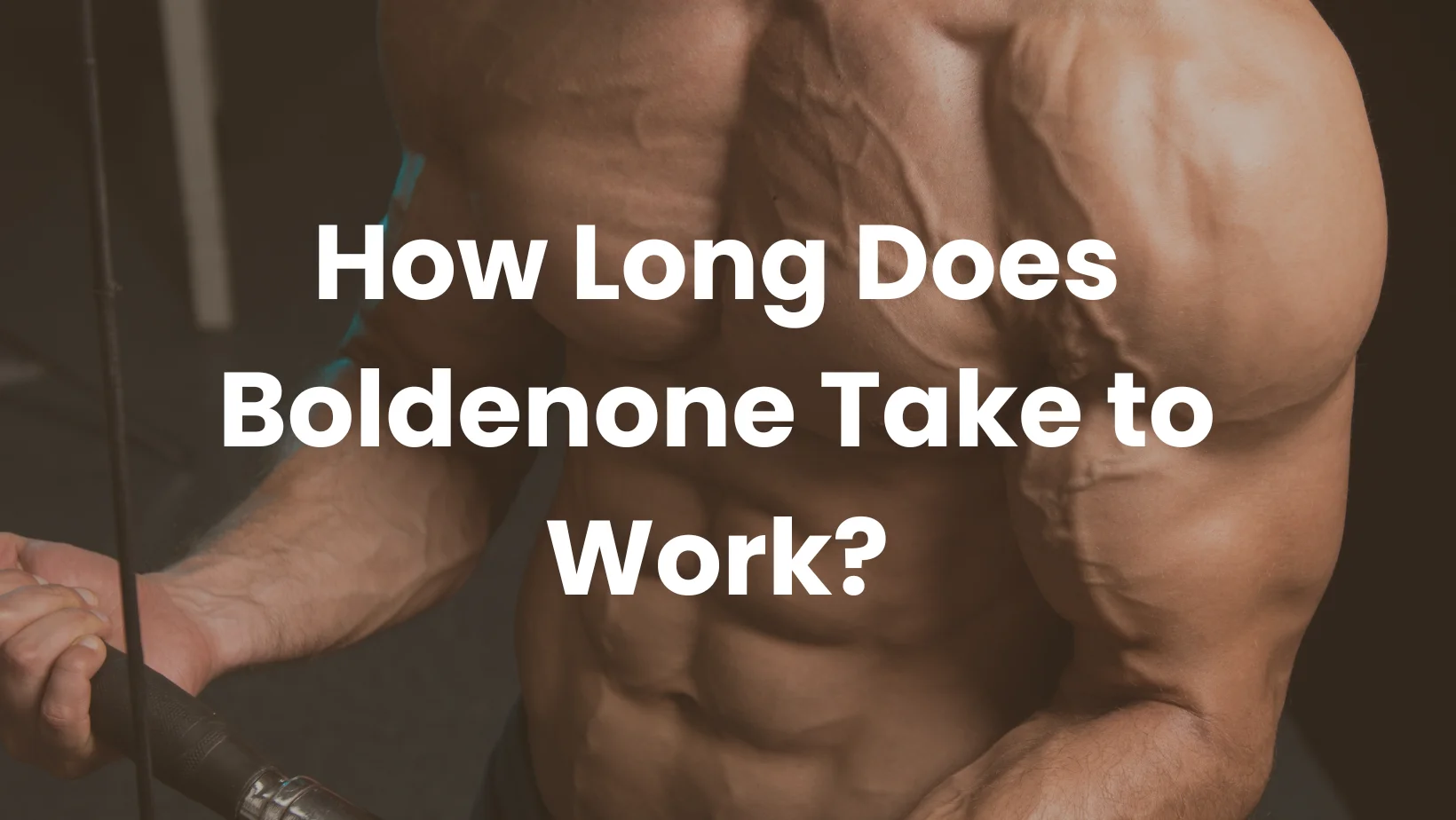 How Long Does Boldenone Take to Work