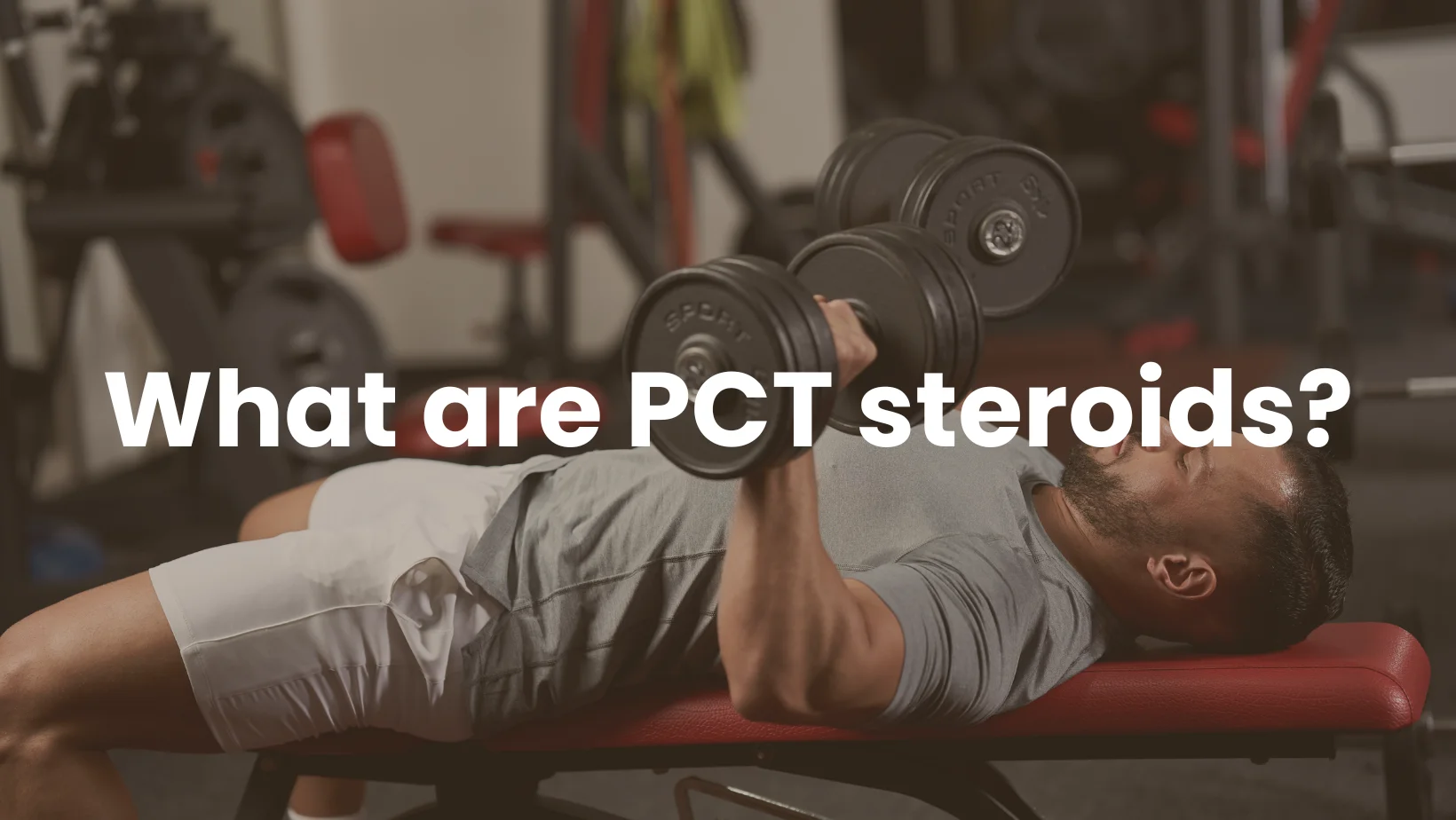 What are PCT steroids