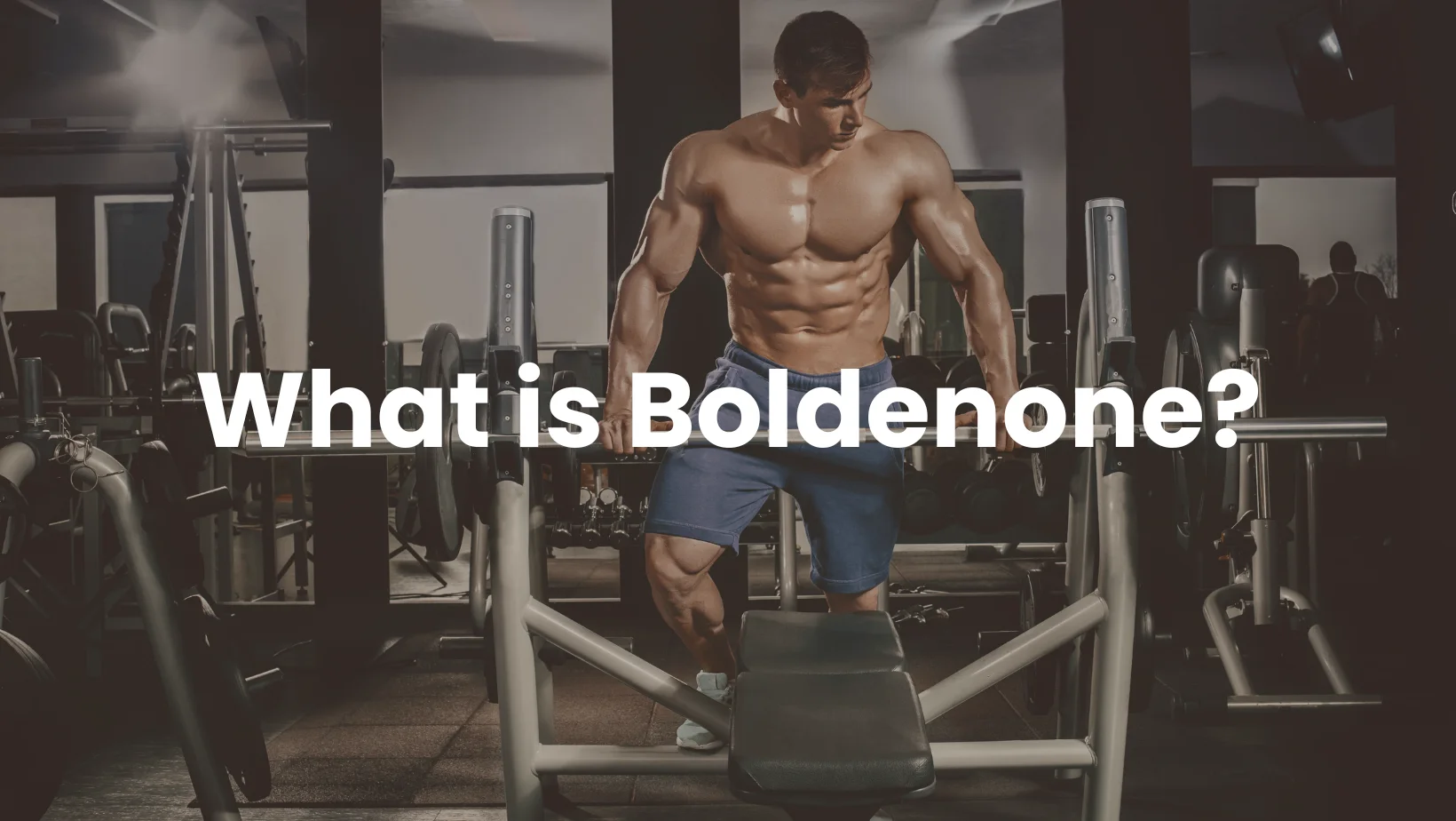 What is Boldenone